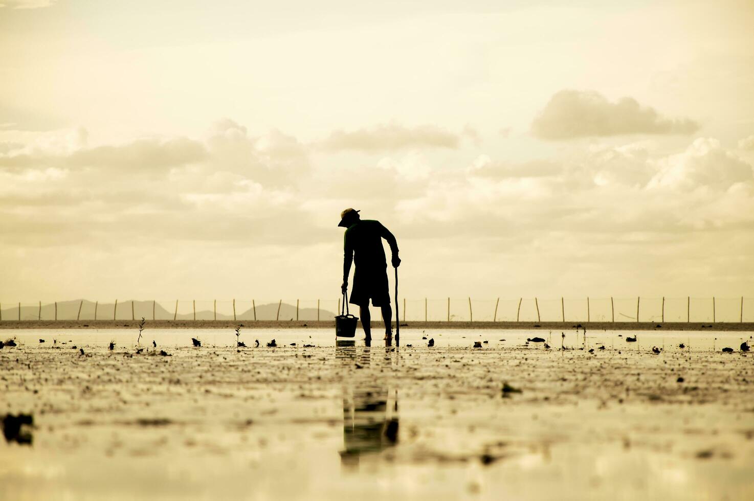 silhouet van Mens Holding mand voor vinden de schelp in de zee Bij zonsondergang foto