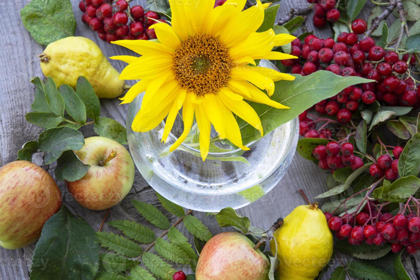 bloemen achtergrond. zonnebloembloem in een glazen vaas, fruit foto