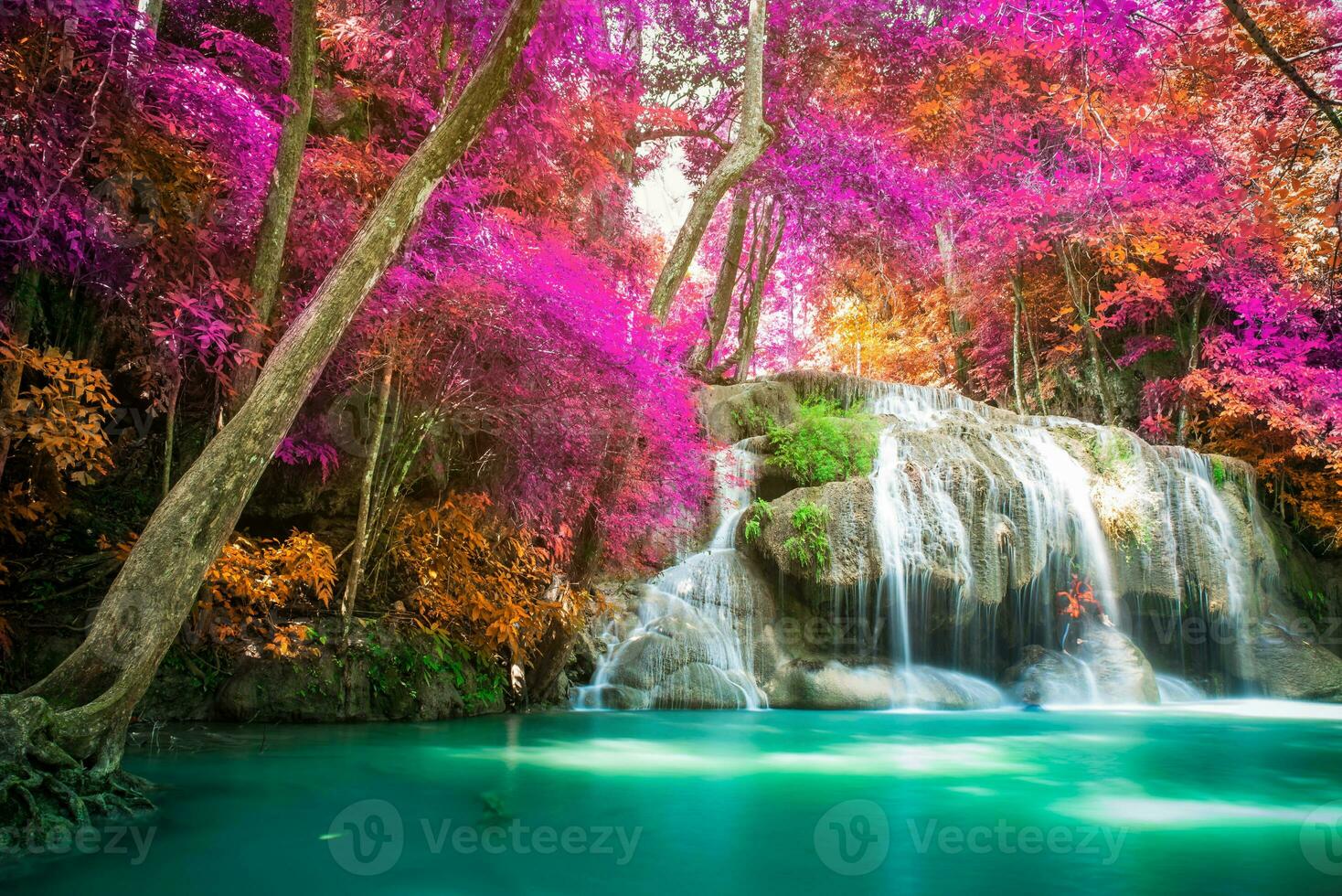 verbazingwekkend in natuur, mooi waterval Bij kleurrijk herfst Woud in vallen seizoen foto