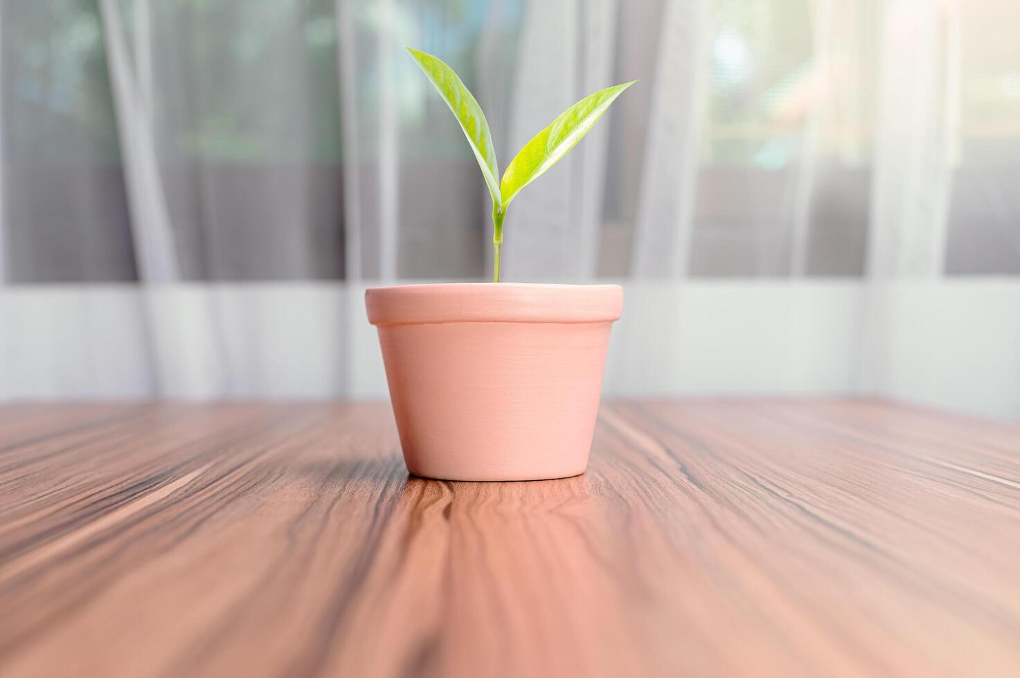 plantenpotten geplant in de kamer foto