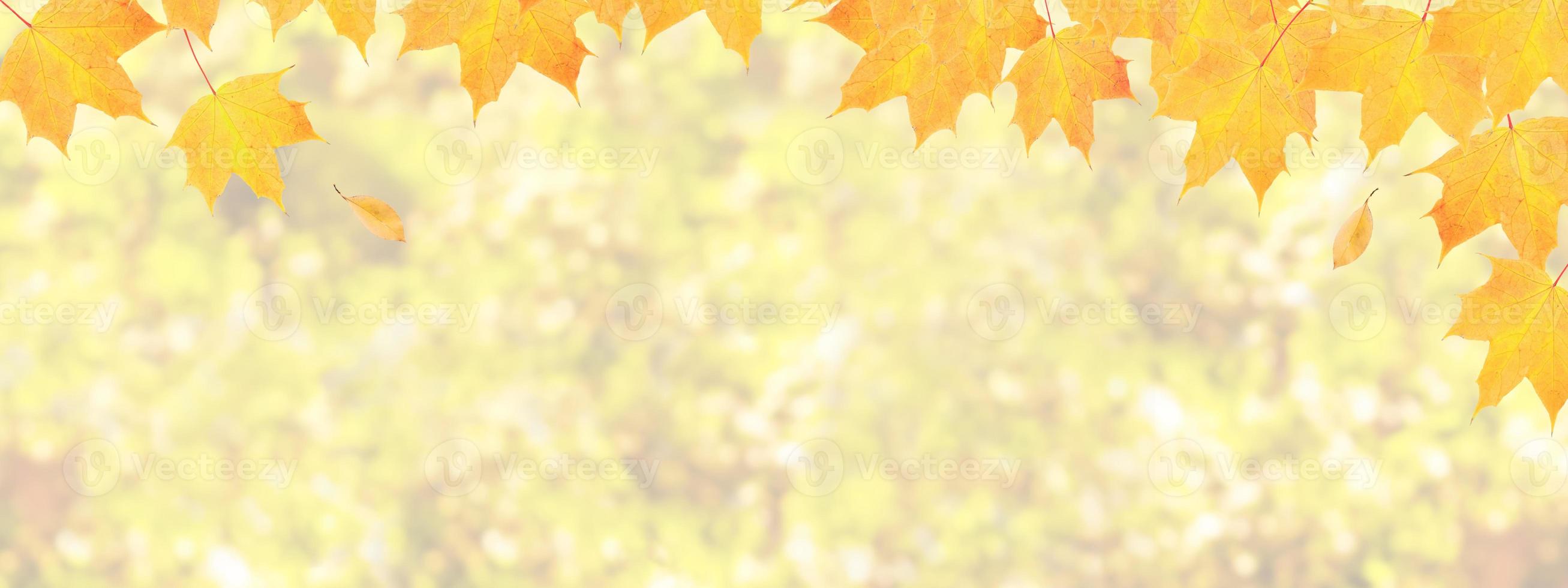 herfstbladeren achtergrond met kopie ruimte foto