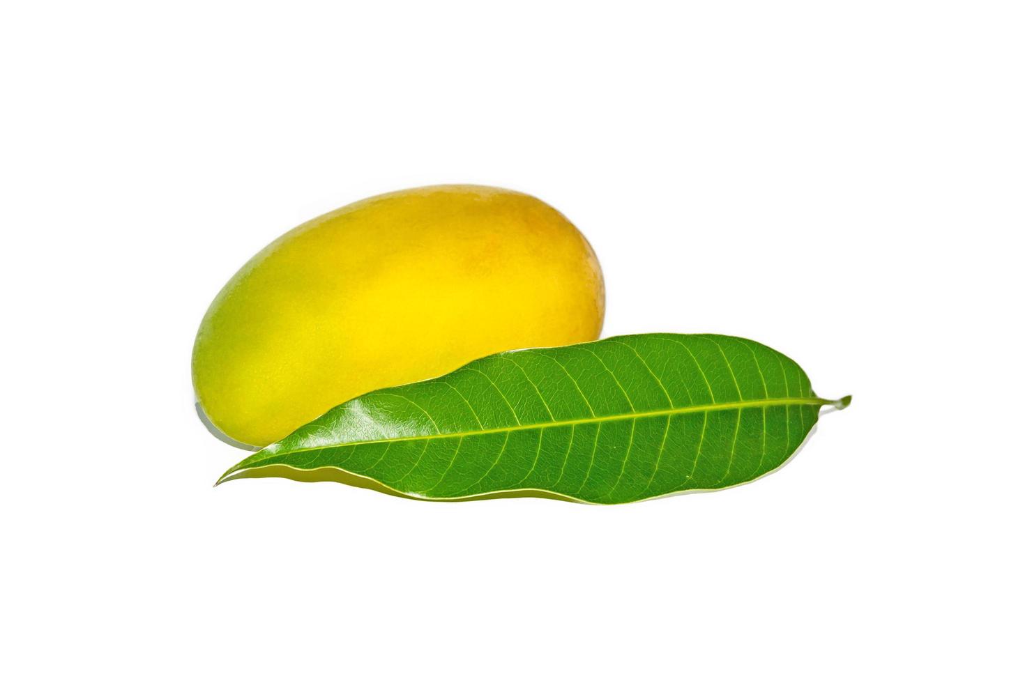 thaise mango, zomerfruit, groep mango foto