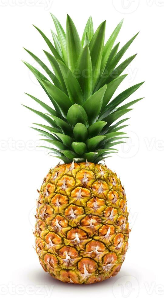 een geheel ananas geïsoleerd Aan wit foto