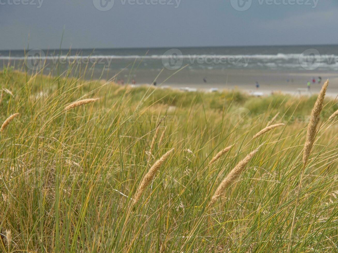 de strand van spiekeroog foto