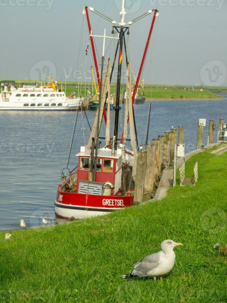 het eiland Spiekeroog foto