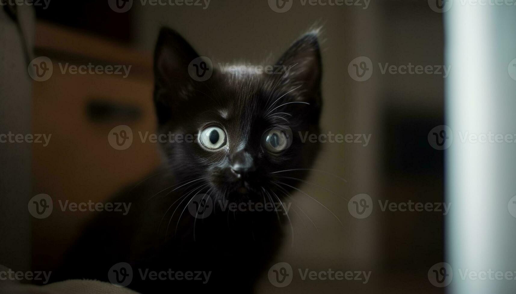 schattig katje staren, bakkebaarden spiertrekkingen, speels nieuwsgierigheid in haar ogen gegenereerd door ai foto