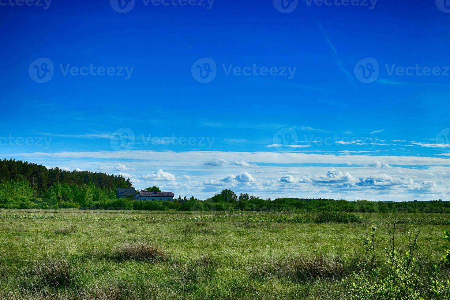 pittoreske voorjaar landschap met blauw lucht en groen velden foto