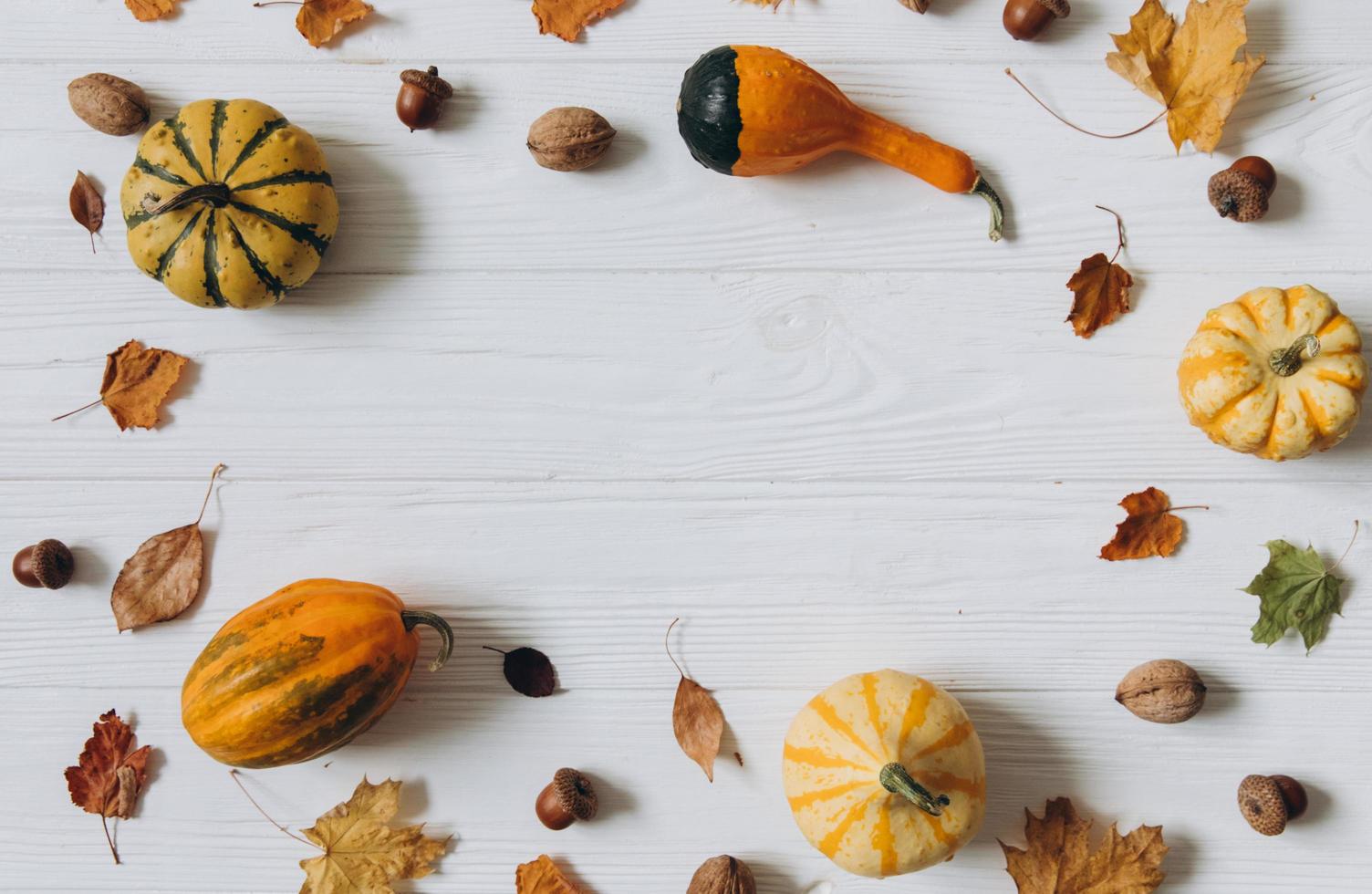 pompoenen, gedroogde bladeren op witte houten achtergrond bovenaanzicht. herfst. foto