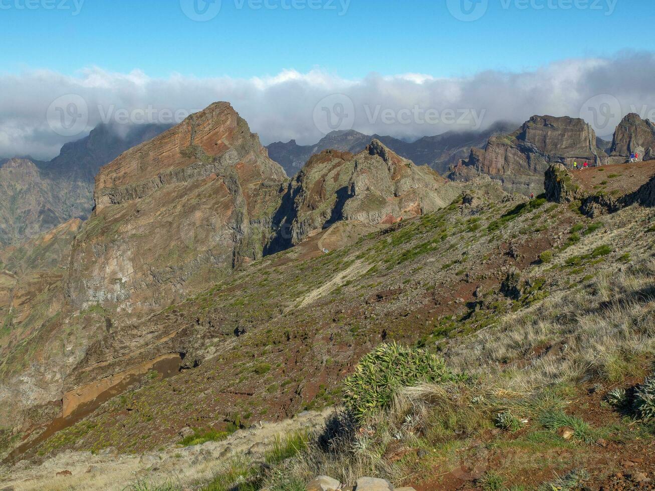 het eiland madeira foto