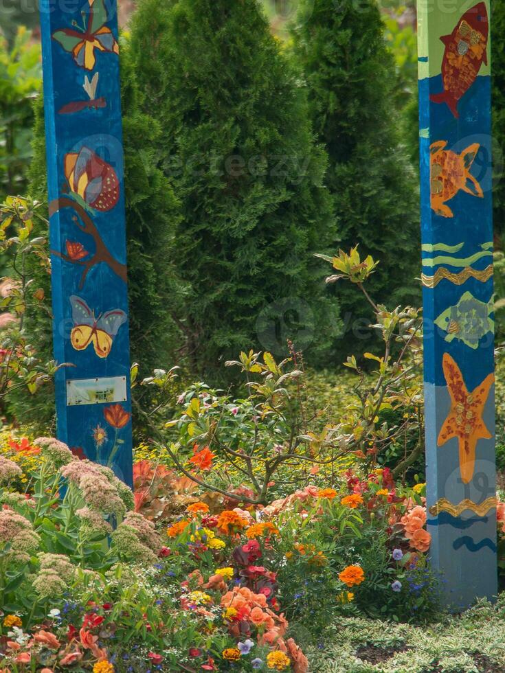 bloemen Bij de stad van papenburg foto