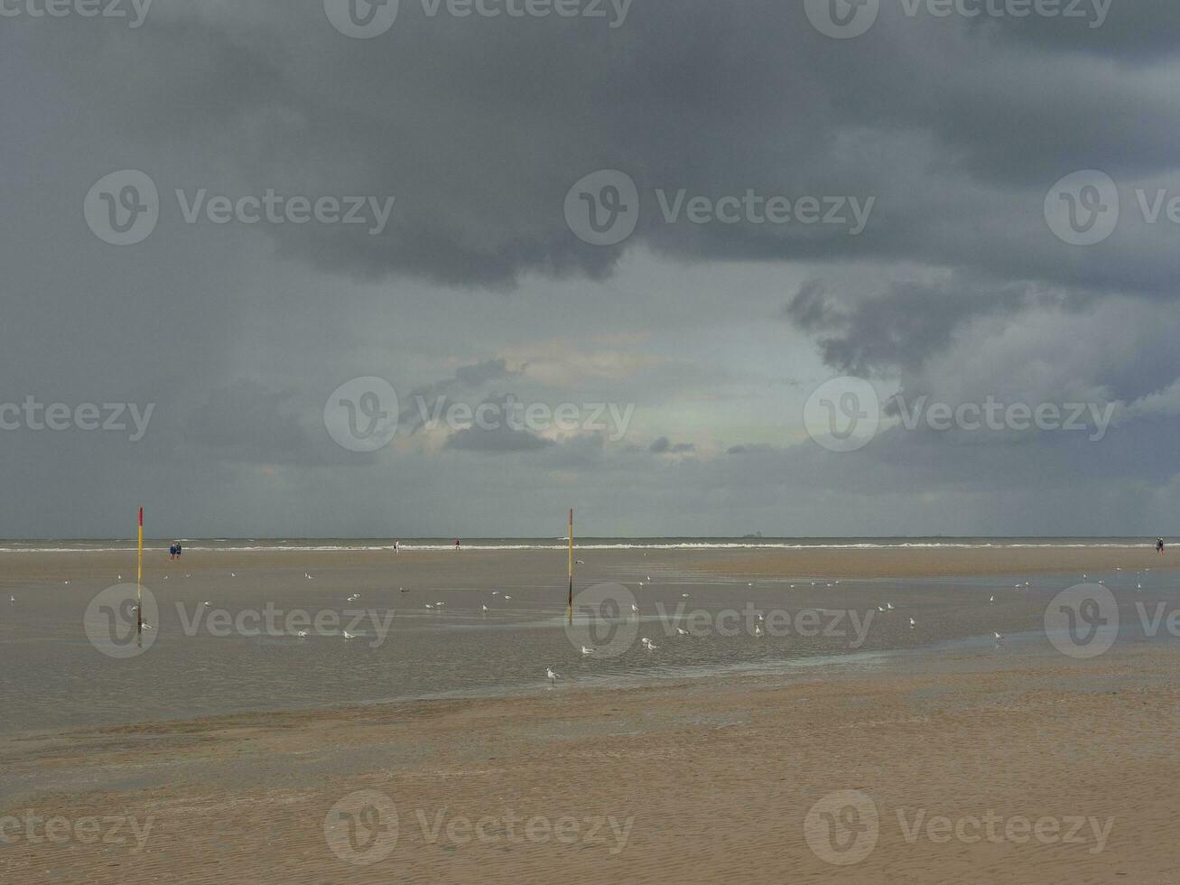 het eiland Spiekeroog foto