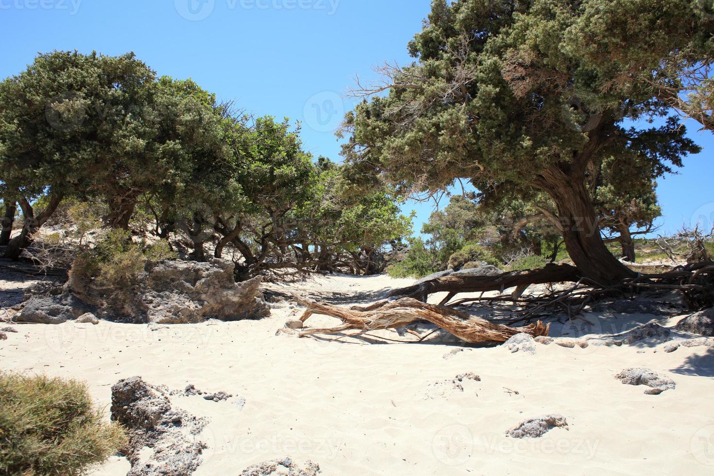 kedrodasos strand creta eiland blauwe lagune kristalhelder water en koralen foto