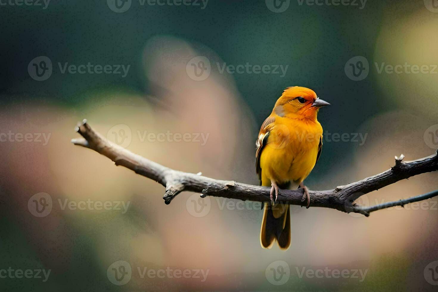 een klein oranje vogel is zittend Aan een Afdeling. ai-gegenereerd foto