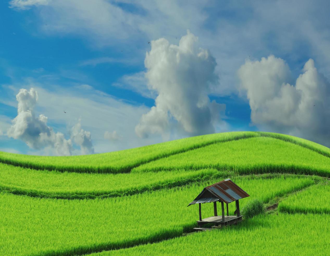 groene velden in en blauwe lucht prachtige natuur foto
