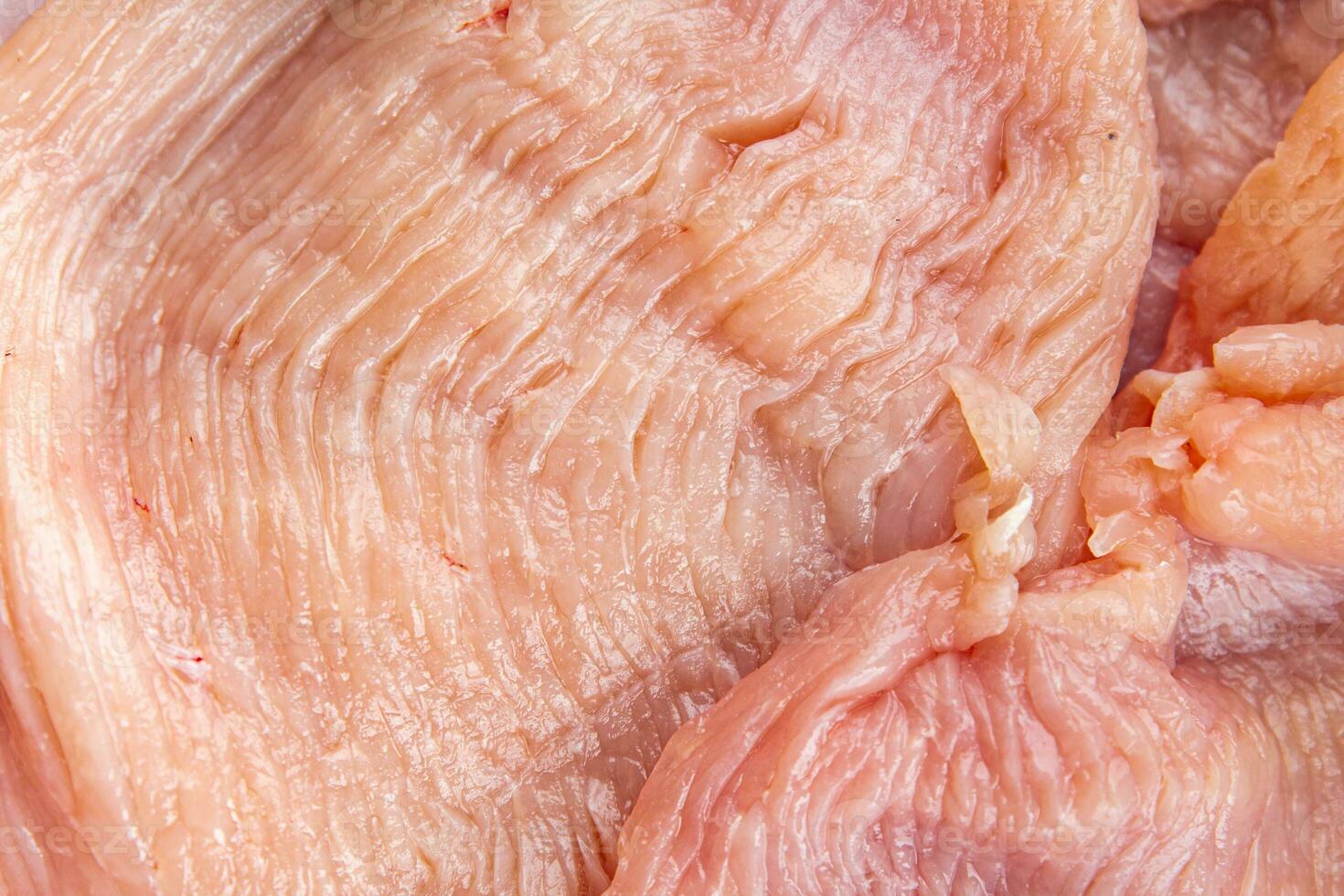 rauw kalkoen vlees filet plak vers gevogelte vlees gezond aan het eten Koken maaltijd voedsel tussendoortje Aan de tafel kopiëren ruimte voedsel achtergrond rustiek top visie foto