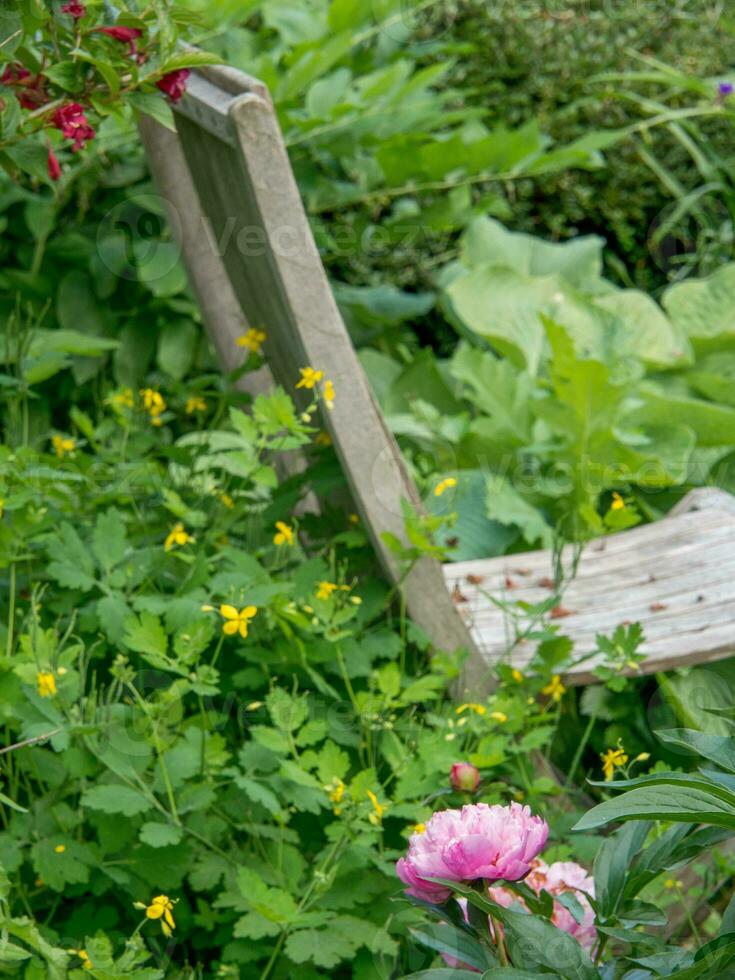 zomertijd in de tuin foto