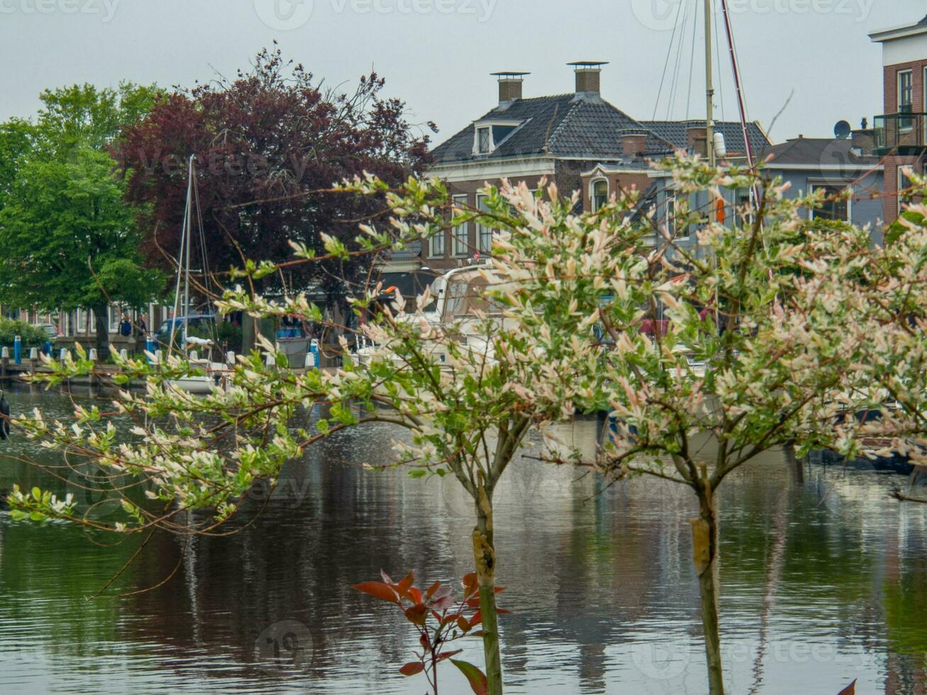 lemmer in de Nederland foto