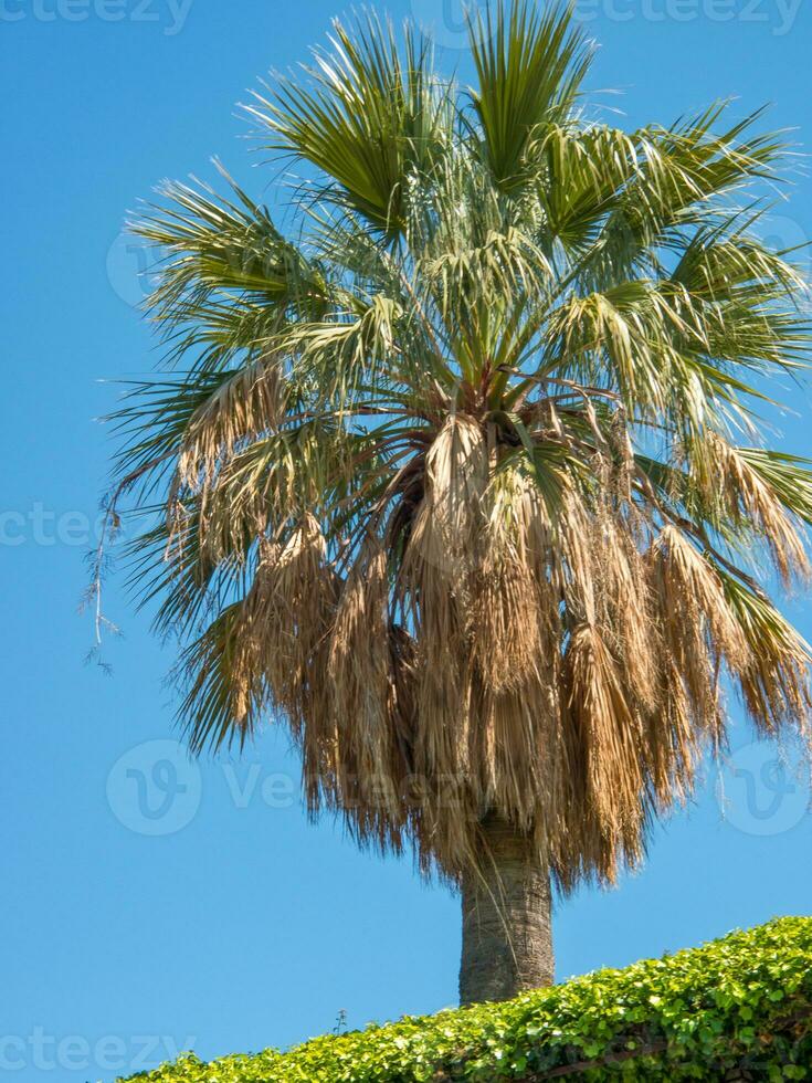 de stad van Palermo Aan Sicilia foto