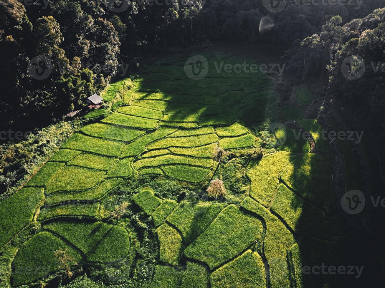 landschap rijstveld in Azië, luchtfoto foto