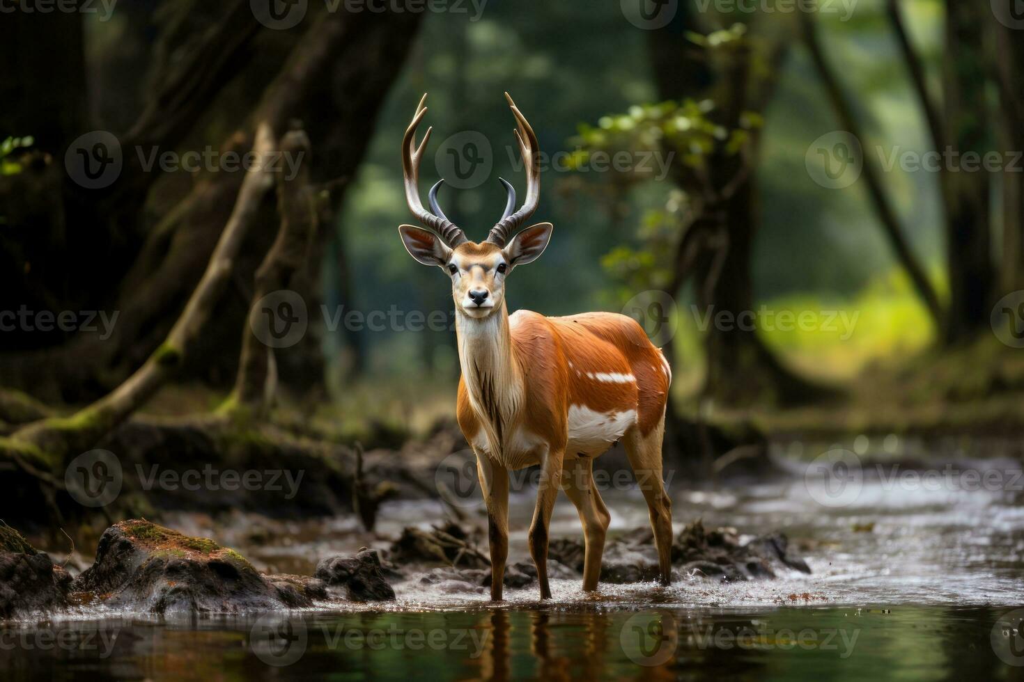 natuur en dieren in het wild vraagt zich af vastleggen de essence van dieren in het wild en natuur. generatief ai foto