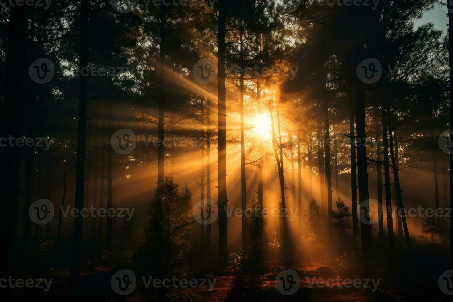 top visie, pijnboom Woud in de regenachtig seizoen met zonlicht. generatief ai foto