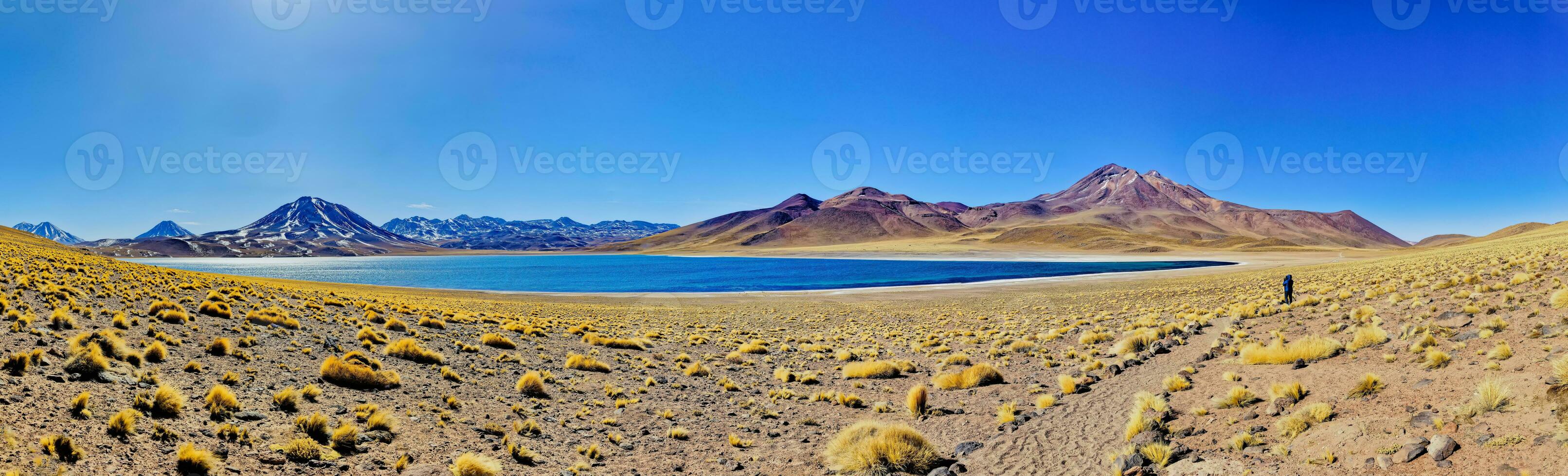 miscanti altiplanisch lagune in de atacama woestijn - san pedro de atacama. foto