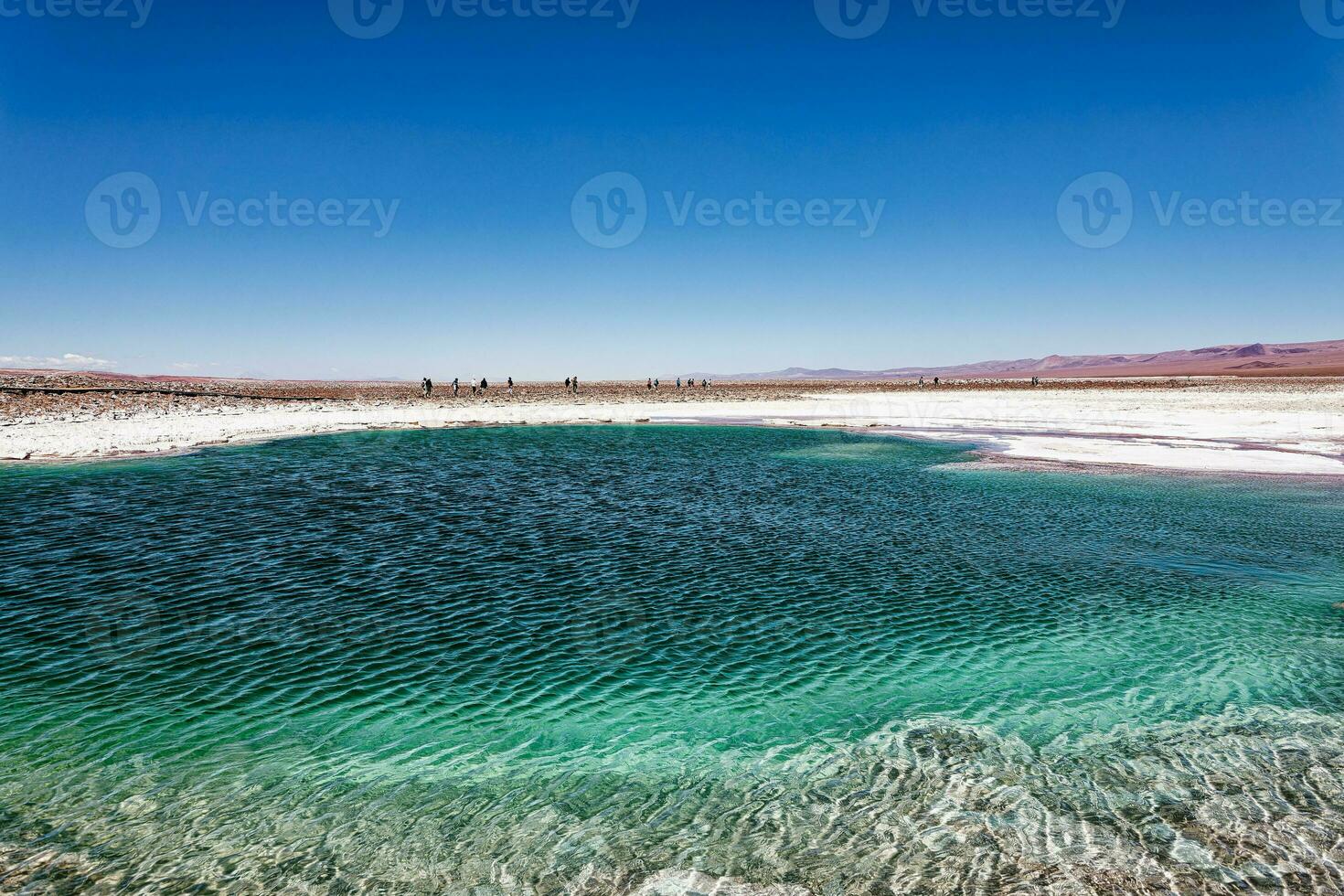 landschap van de verborgen baltinapijn lagunes - atacama woestijn - Chili. foto