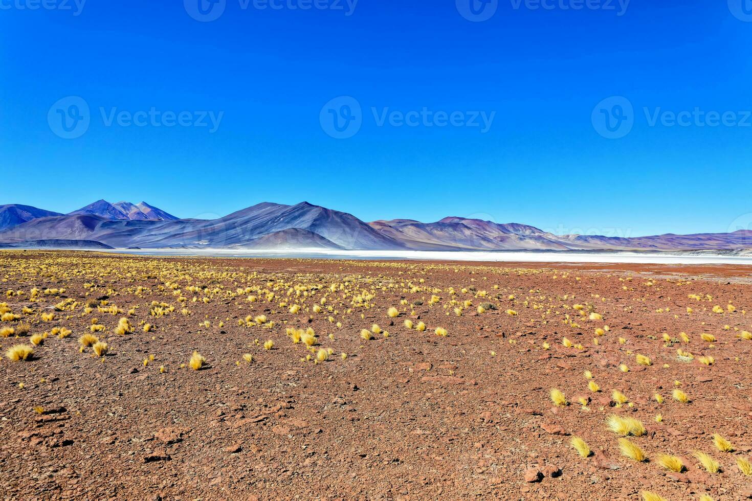 piedra's rojas - atacama woestijn - san pedro de atacama. foto