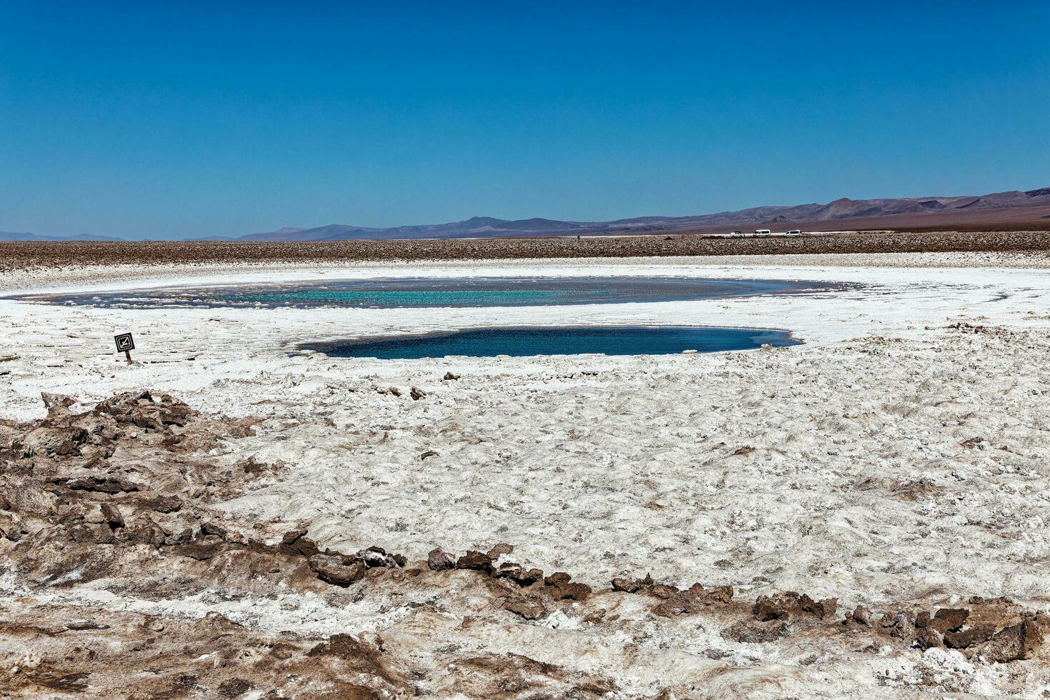 landschap van de verborgen baltinapijn lagunes - atacama woestijn - Chili. foto