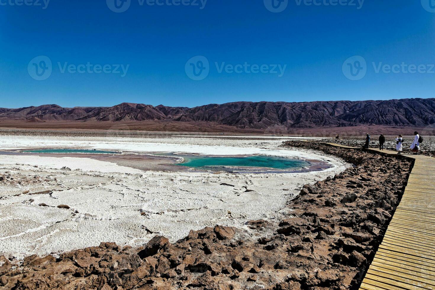 landschap van de verborgen baltinapijn lagunes - atacama woestijn - Chili. foto