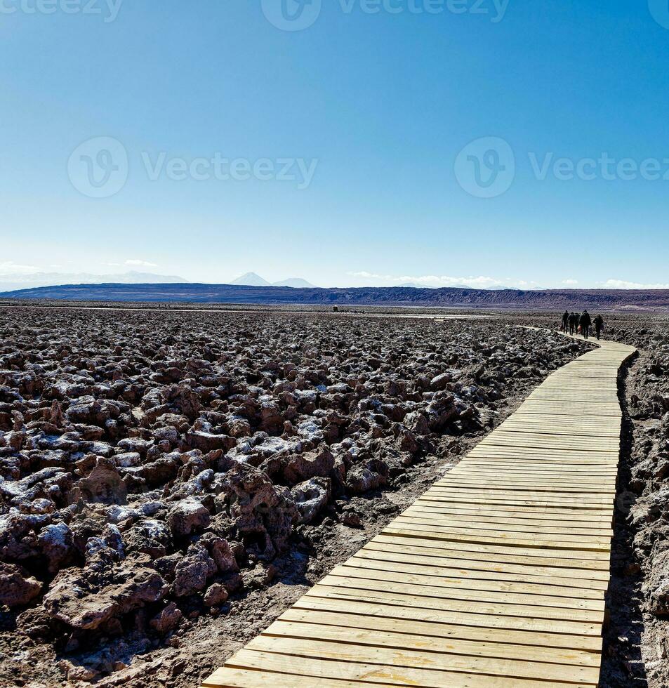 landschap van de verborgen baltinapijn lagunes - atacama woestijn - Chili. foto