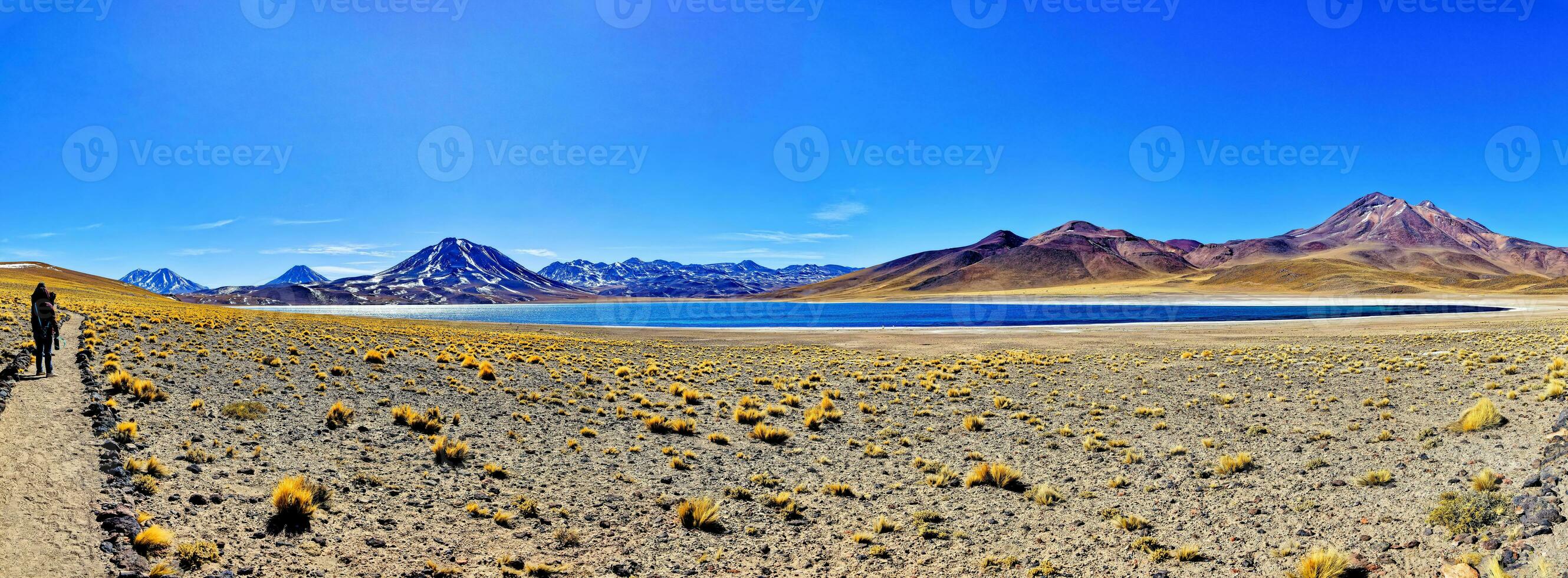 miscanti altiplanisch lagune in de atacama woestijn - san pedro de atacama. foto