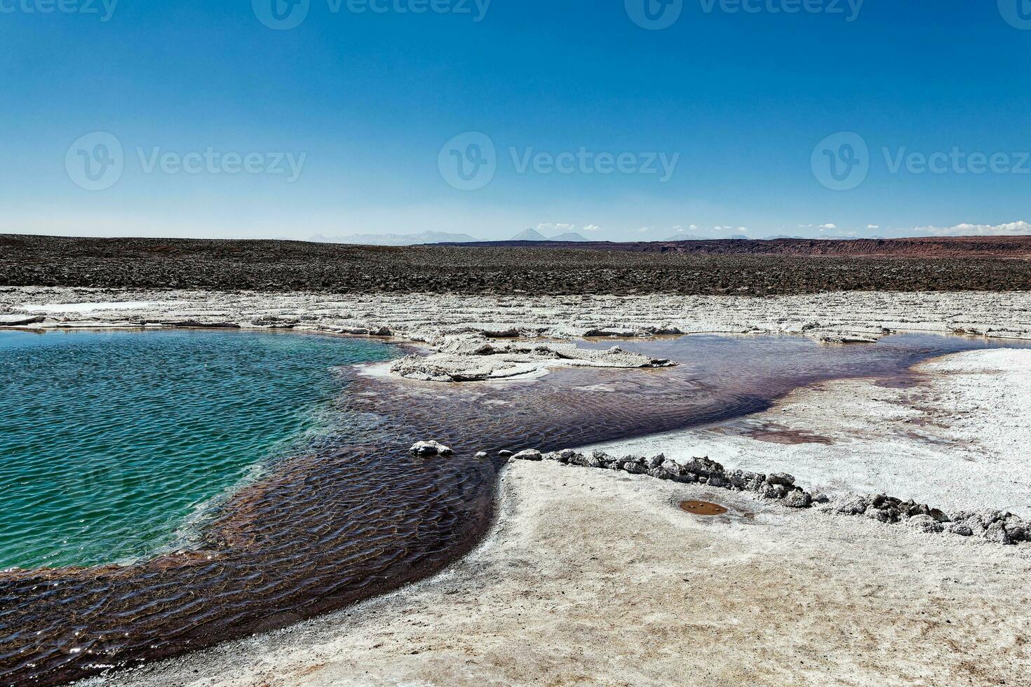 landschap van de verborgen baltinapijn lagunes - atacama woestijn - Chili. foto