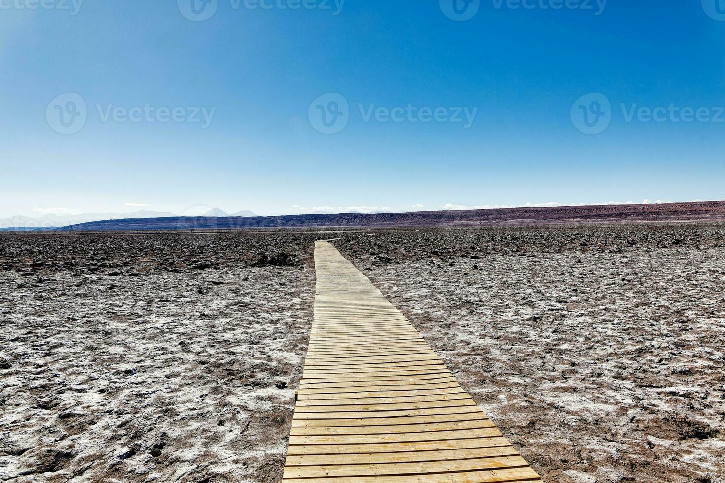 landschap van de verborgen baltinapijn lagunes - atacama woestijn - Chili. foto