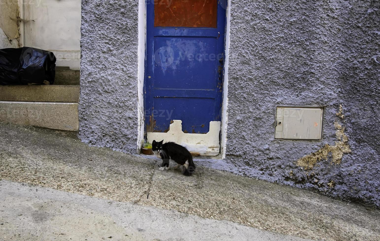 zwarte kat achtergelaten op straat foto