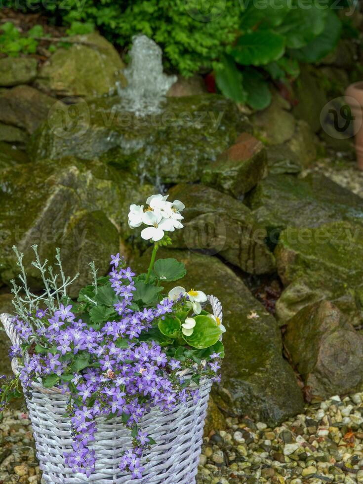 zomertijd in de tuin foto