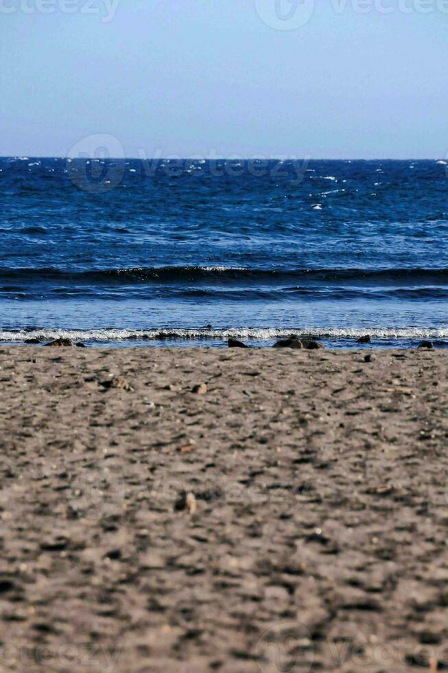 een strand met een groot lichaam van water in de achtergrond foto