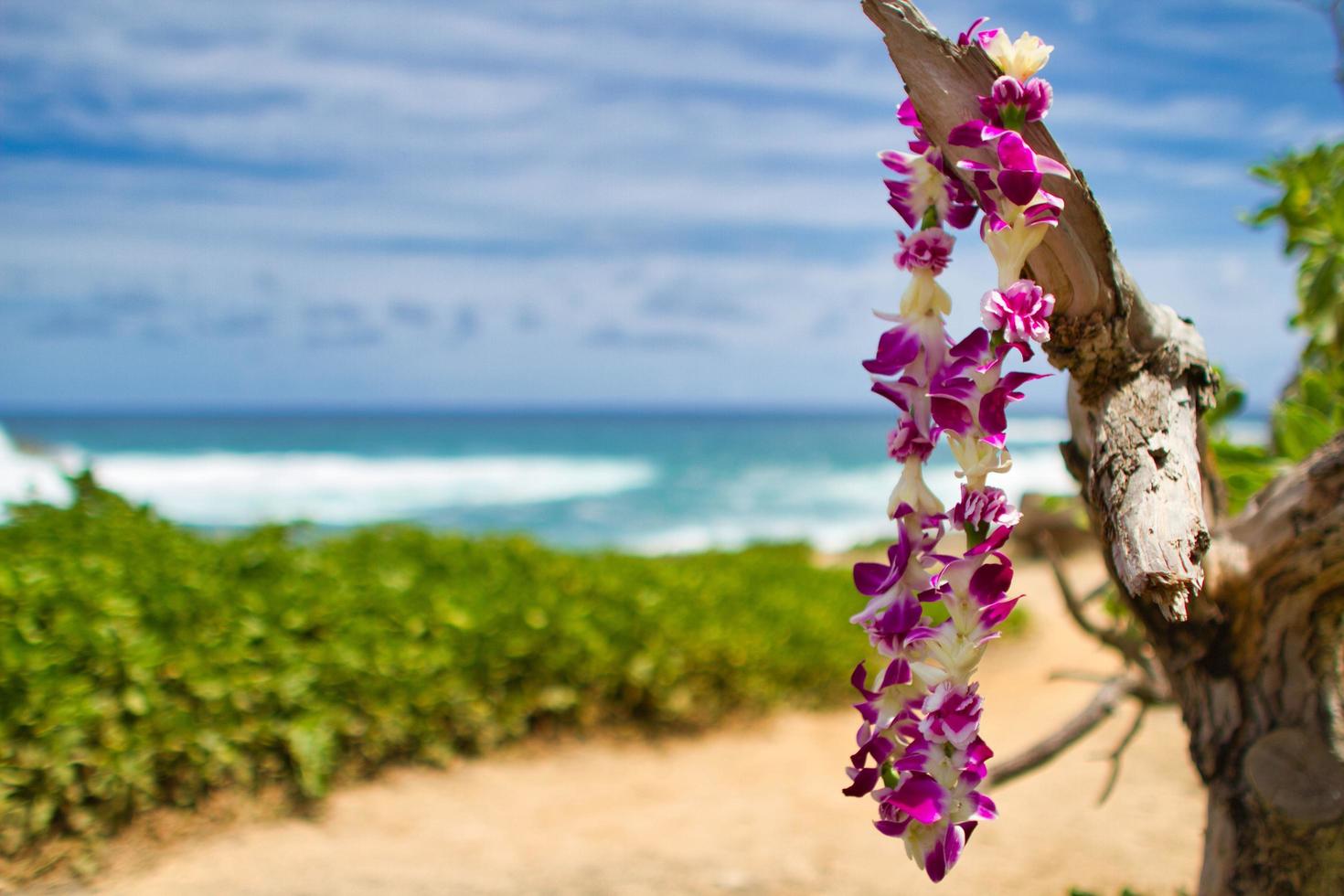 lei aan de noordkust van Honolulu, Hawaï foto