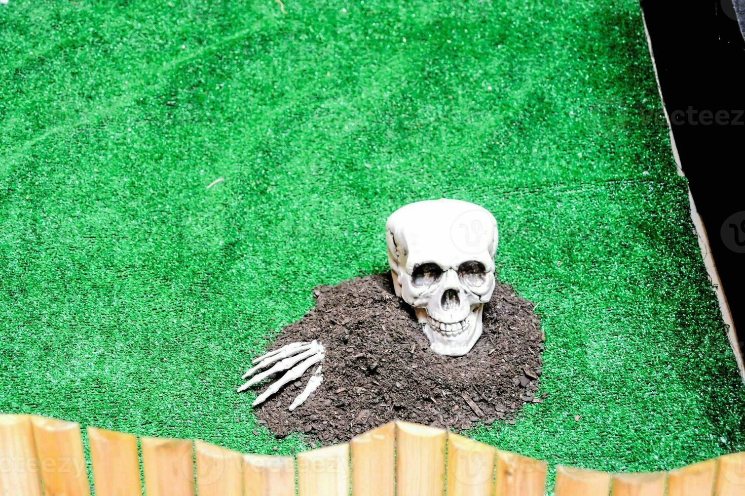 een nep skelet is zittend in de gras foto