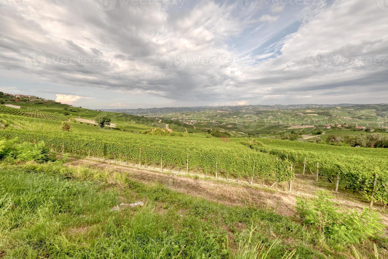 de wijngaarden van langhe, italië, gezien vanuit het gezichtspunt van la morra. foto