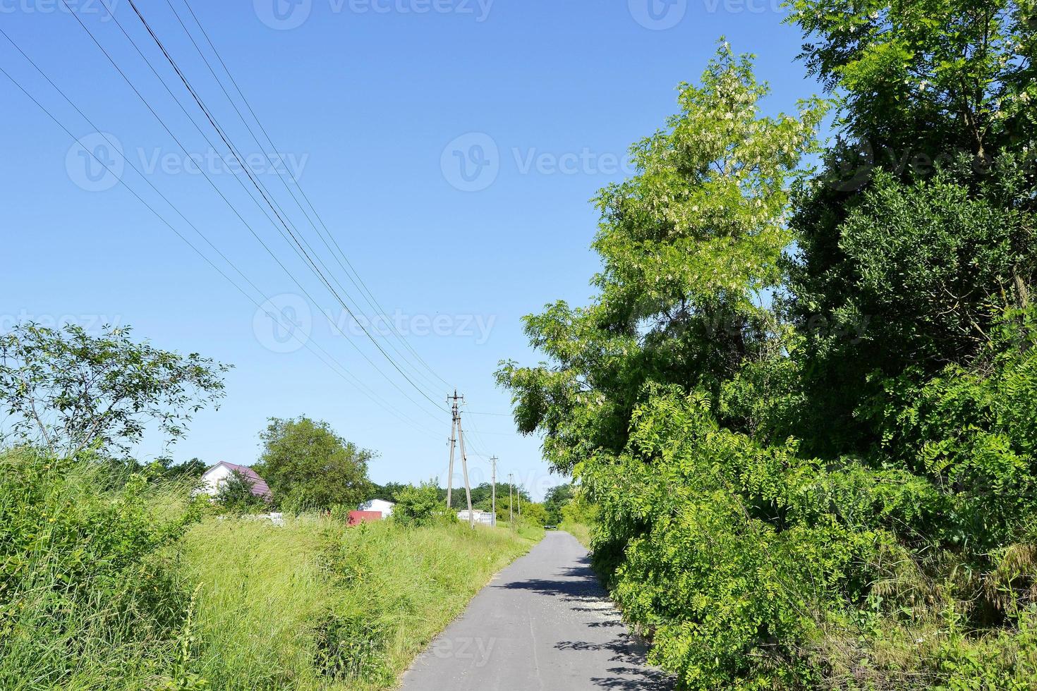 lege asfaltweg op het platteland foto