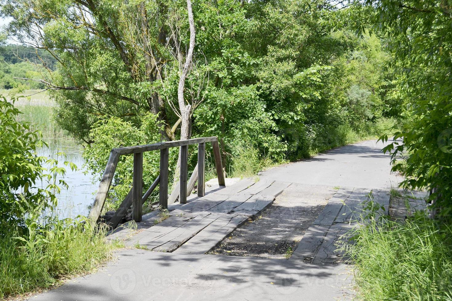 oude houten brug foto