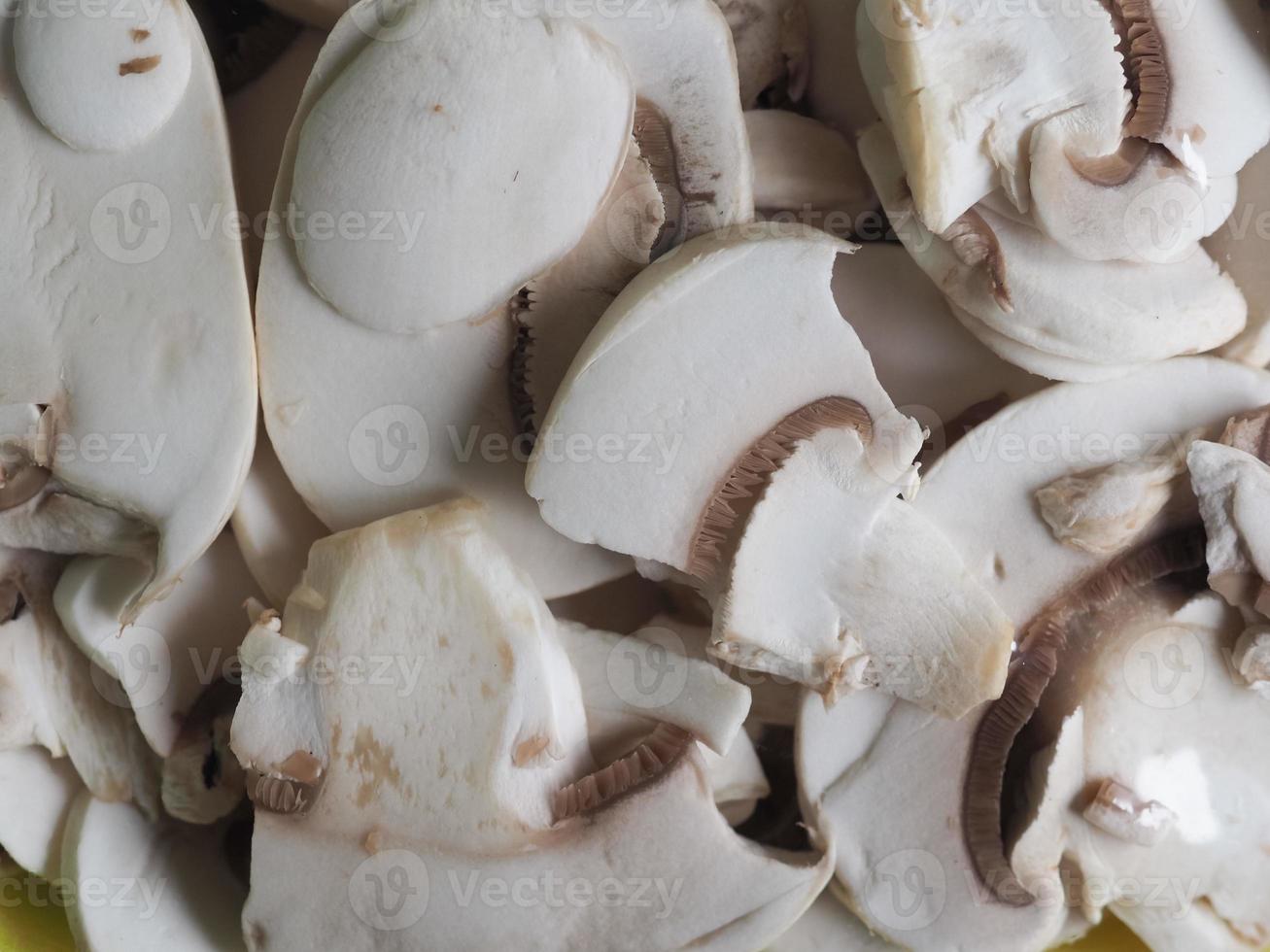 champignon paddestoel achtergrond foto