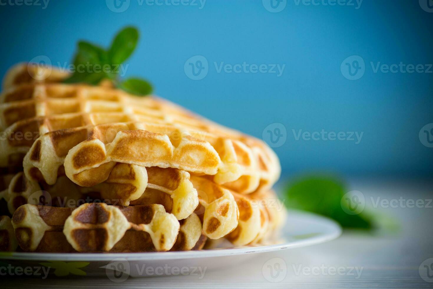 zoet huisje kaas wafels met een takje van munt in een bord foto