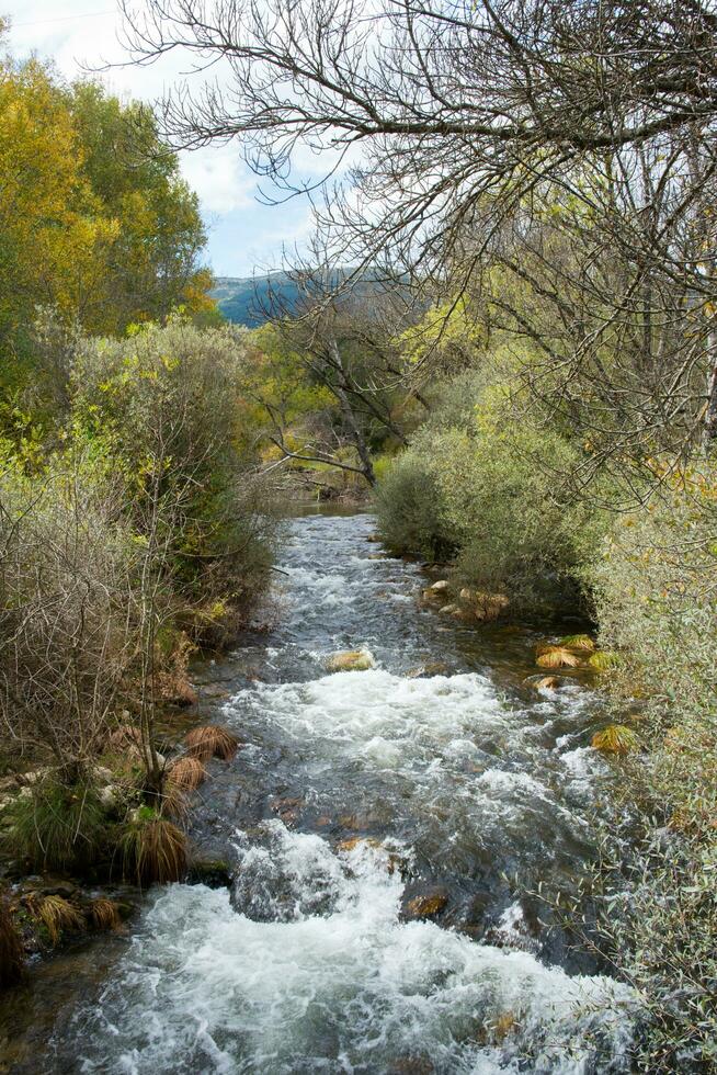 mooi visie van lozoja rivier- in herfst. rascafria foto