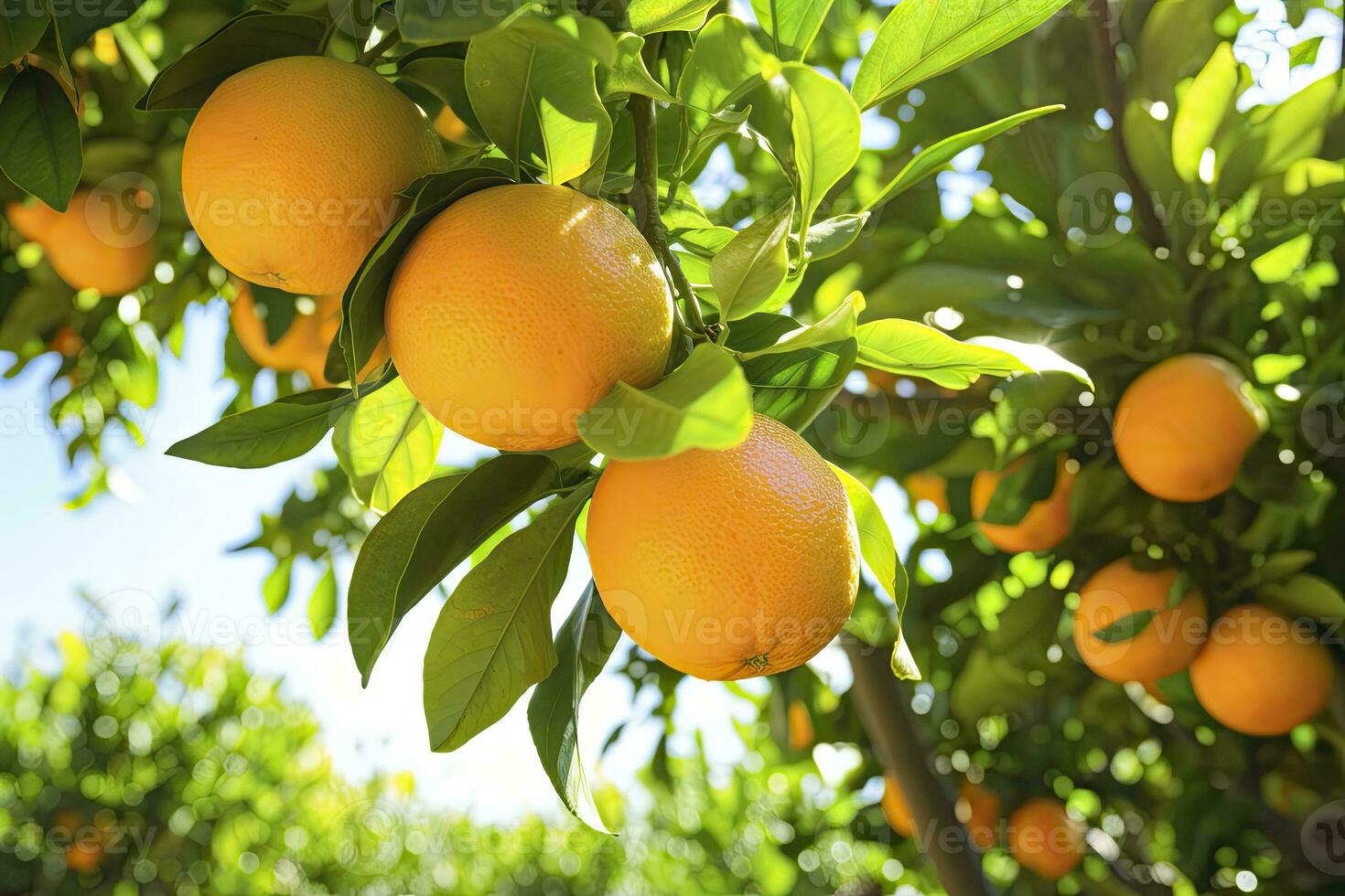 oranje fruit Aan boom. ai gegenereerd foto