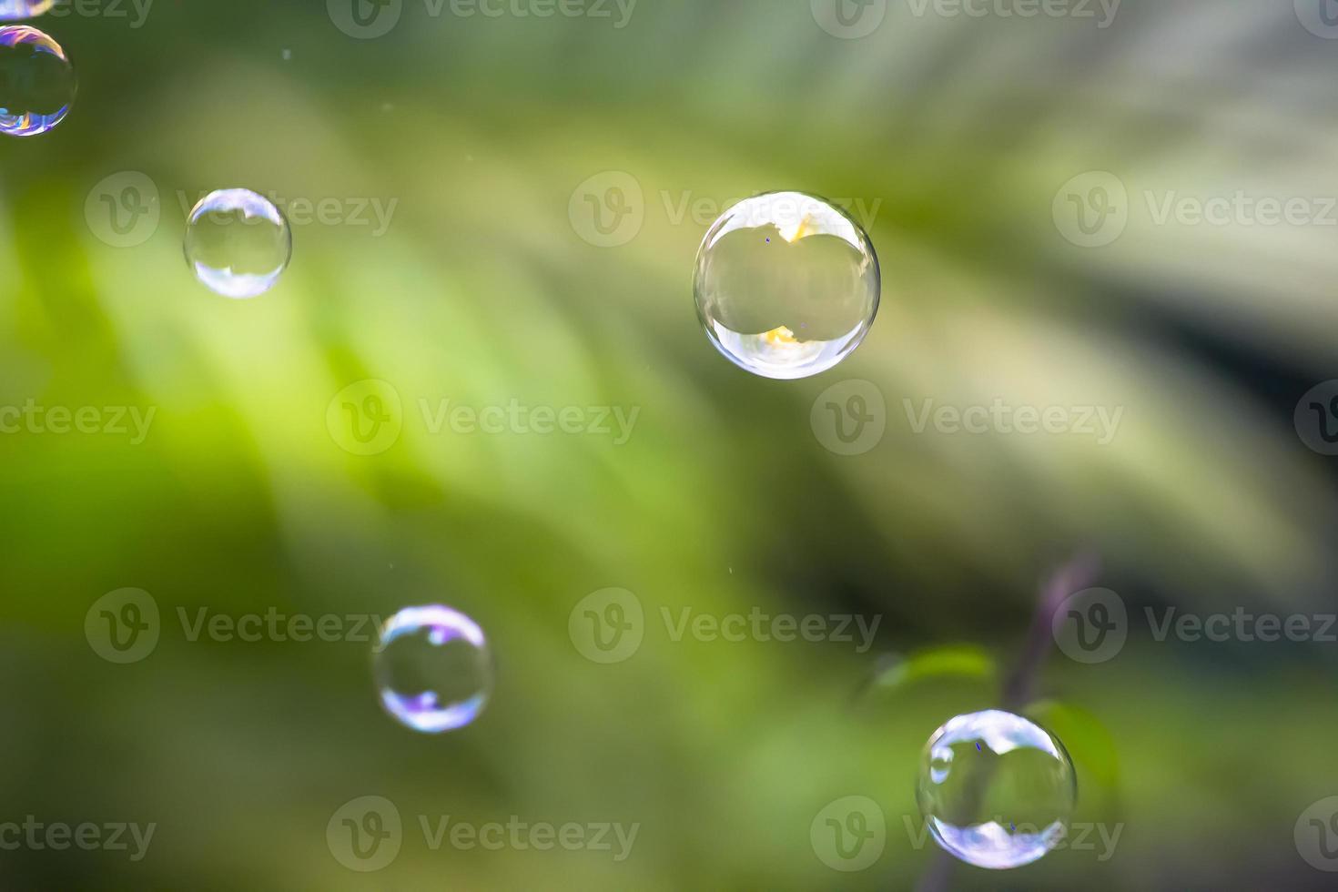 waterbellen drijven en vallen op groene bladeren foto