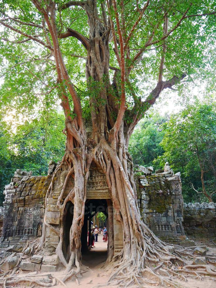 oude ruïnes van ta som tempel deur poort ruïne met jungle boom foto