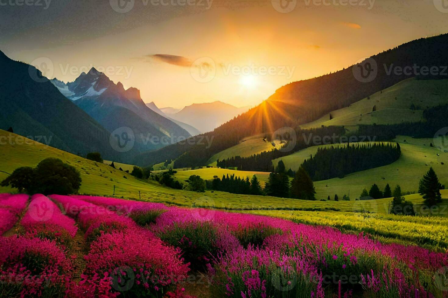 de zon stijgt over- een veld- van Purper bloemen. ai-gegenereerd foto