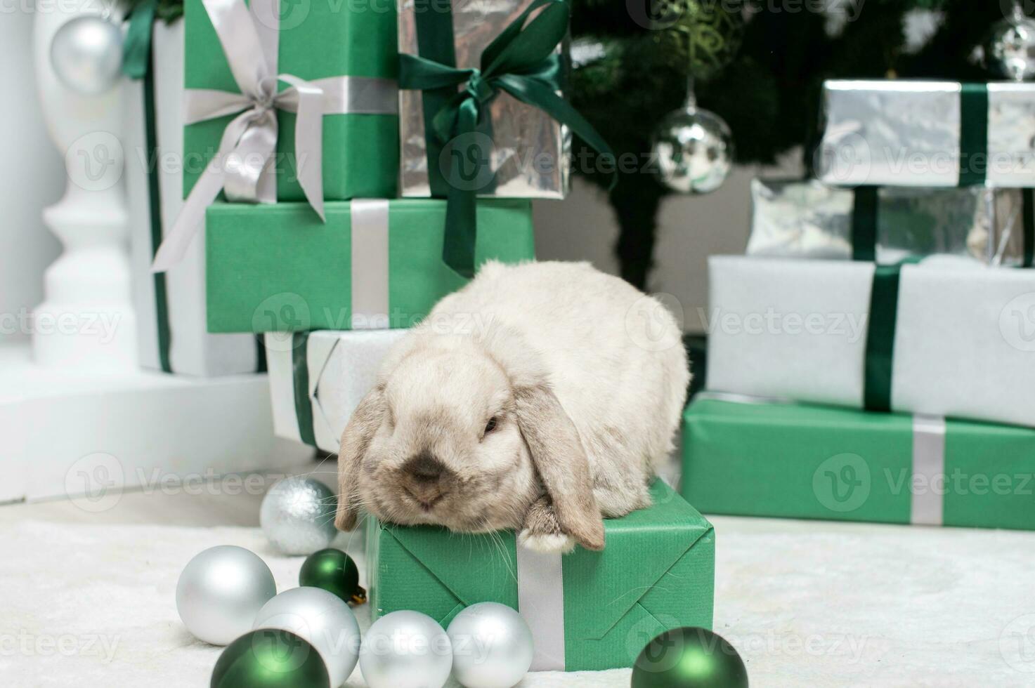 een grijs met hangende oren konijn zit Aan een geschenk doos onder de Kerstmis boom foto